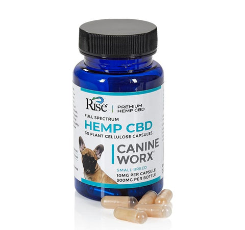 Image of CBD Canine Capsule 10mg